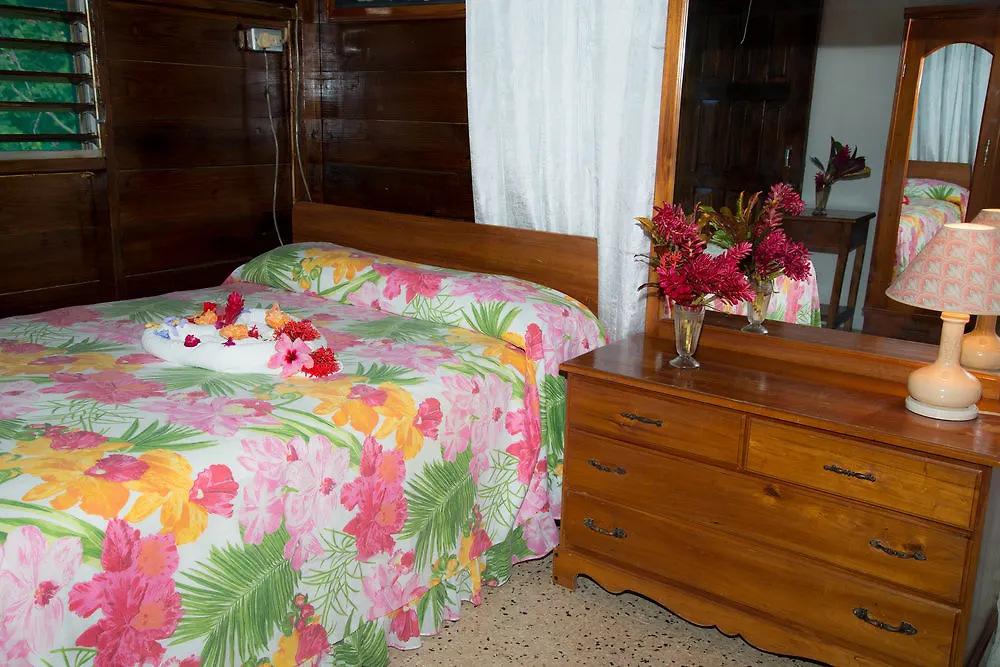 Hotel Firefly Beach Cottages Negril