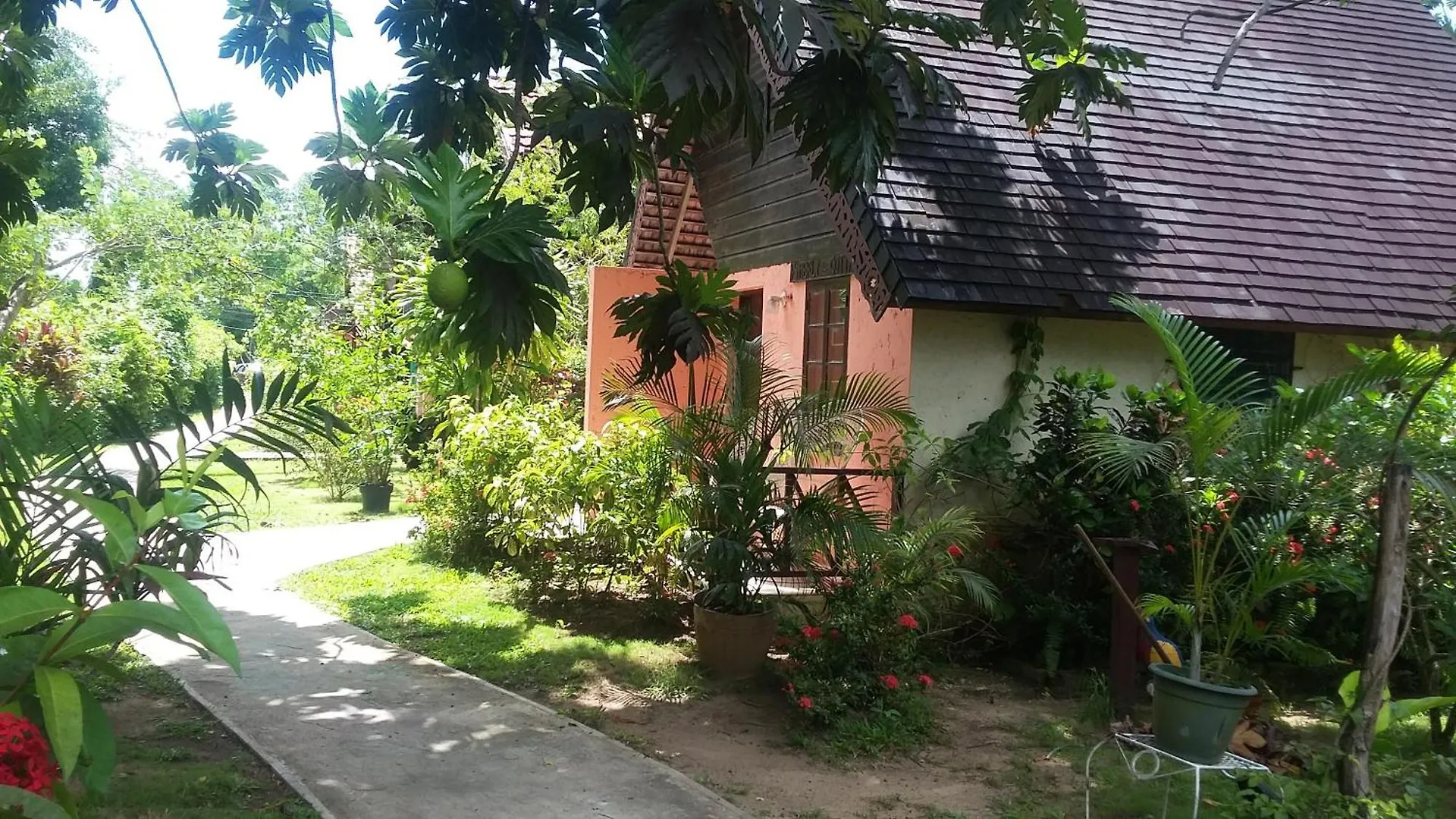Firefly Beach Cottages Νεγκρίλ Τζαμάικα