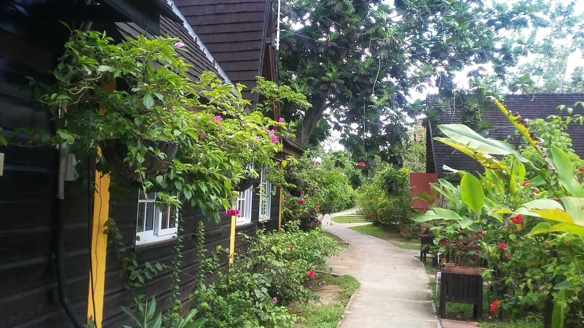 **** Hotel Firefly Beach Cottages Negril Jamaica