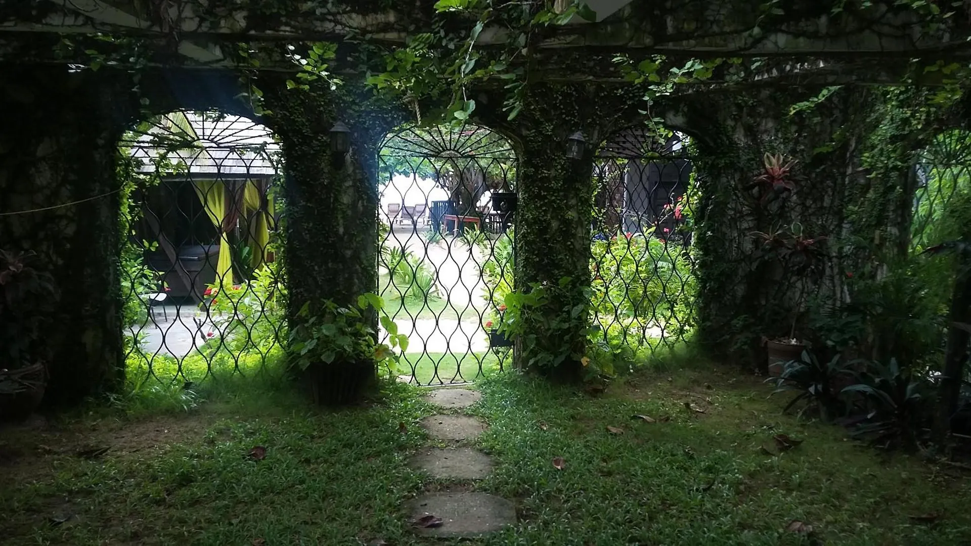 Firefly Beach Cottages Negril Hotel