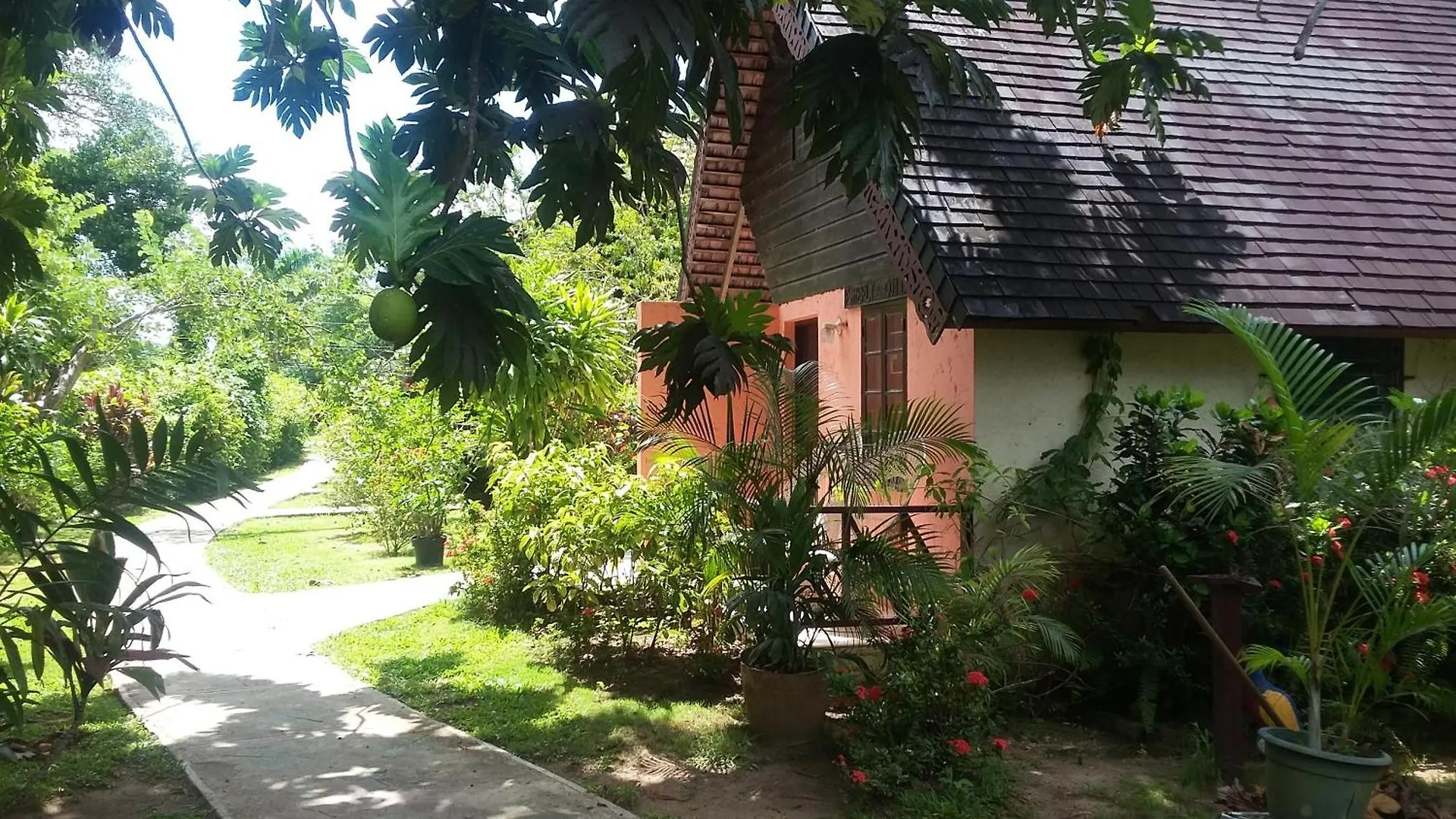 Firefly Beach Cottages Negril
