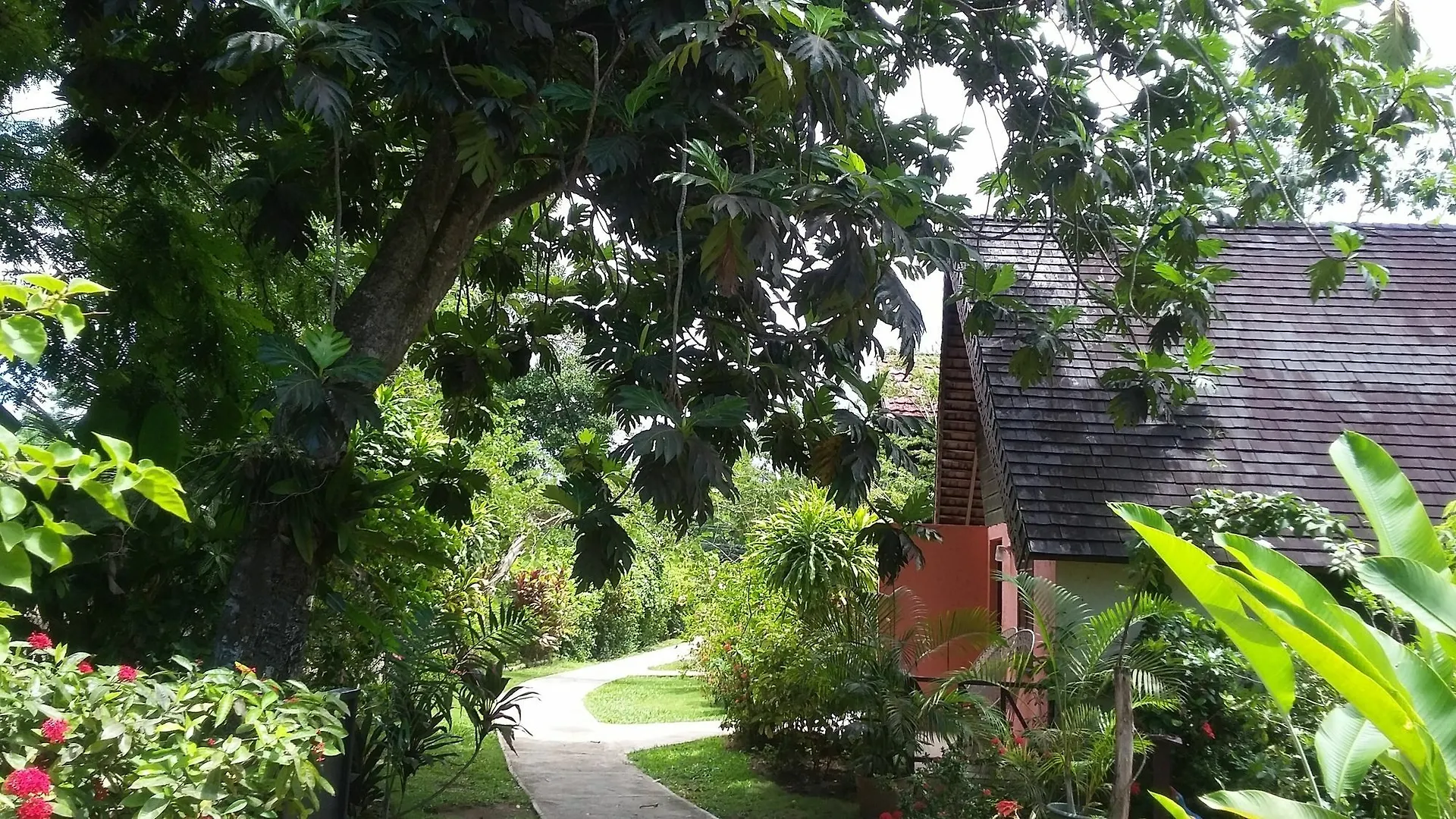 Hotel Firefly Beach Cottages Negril