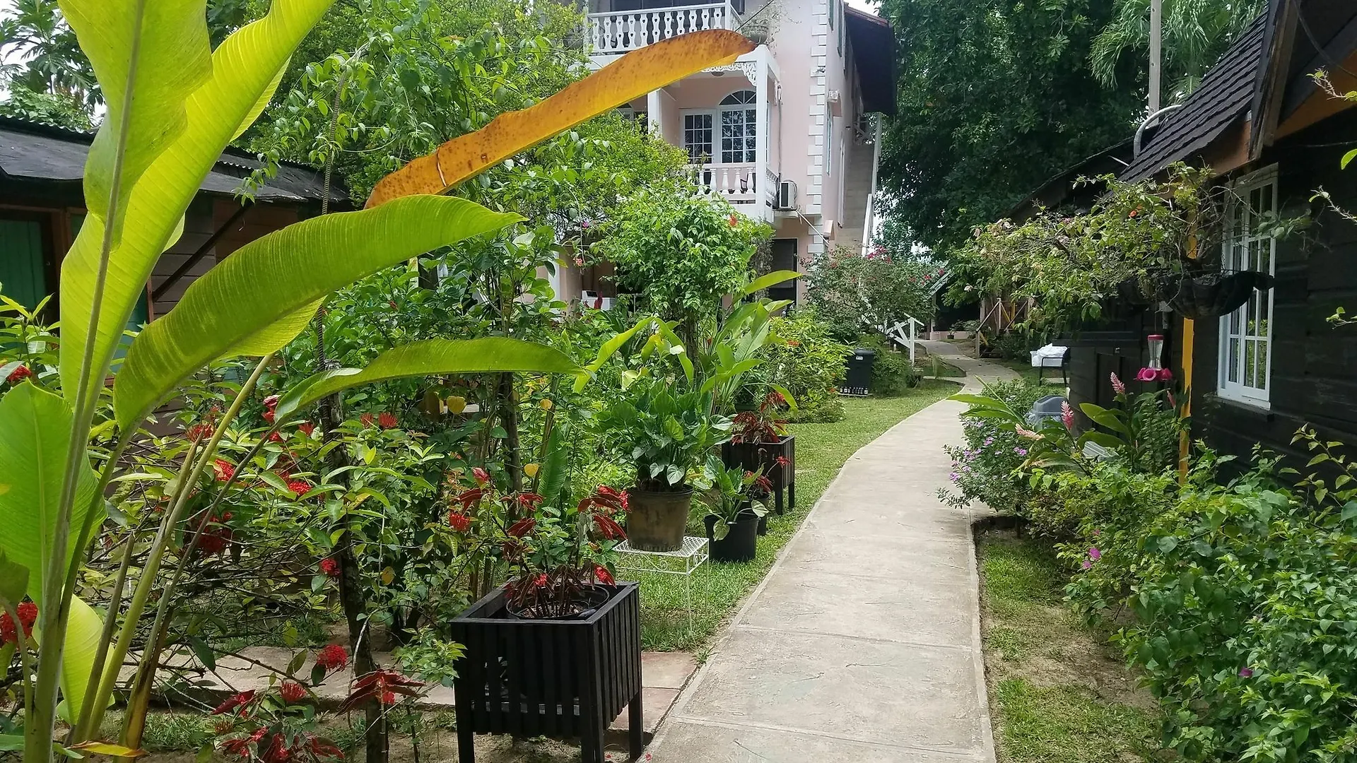 Firefly Beach Cottages Negril Hotel